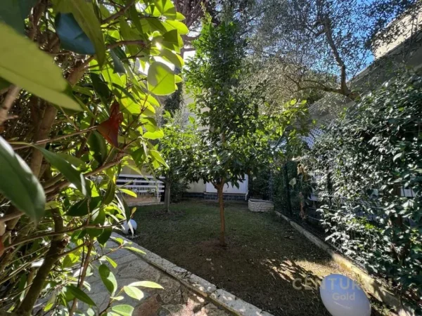 SHITET DUPLEX TEK KOMPLEKSI LURA 1 GJIRI I LALEZIT ! 250000EU (I DISKUTUESHEM)