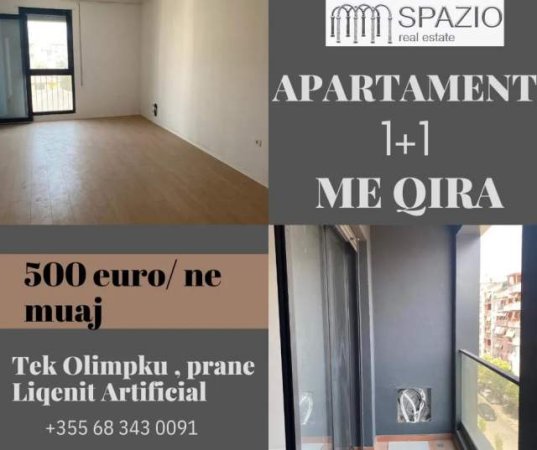 Tirane, jepet me qera apartament 1+1+BLK Kati 4, 65 m² 500 Euro