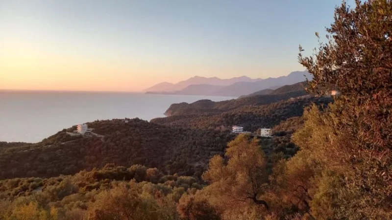 Lukov, Shitet Toke me Hipotek,