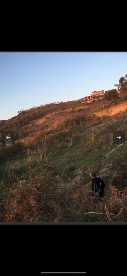 Shitet, nderrohet Ose jepet me qera toka 2000m2 te Shkembi Kavajes durres plazh