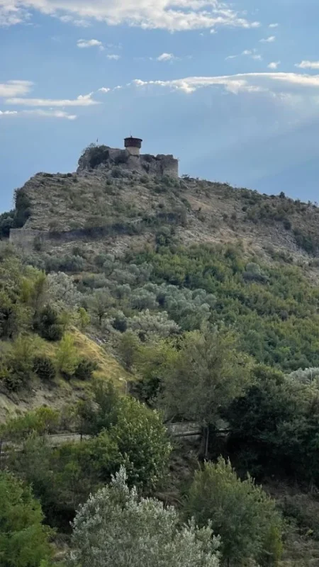 Shitet Toke ne Petrele ngjitur me Zipline Albania (8700m2)