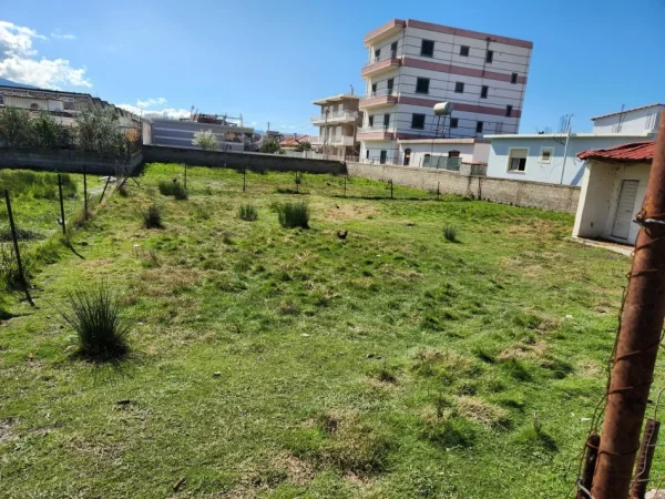 Truall me Qera 1000m2