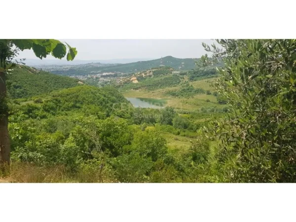 SHITET 2000M2 TOKE PEMTORE NE LINZE 150 RRENJE ULLINJ +100 RRENJE LAJTHI- 90.000 Euro!!
