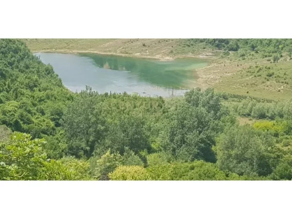 SHITET 2000M2 TOKE PEMTORE NE LINZE 150 RRENJE ULLINJ +100 RRENJE LAJTHI- 90.000 Euro!!