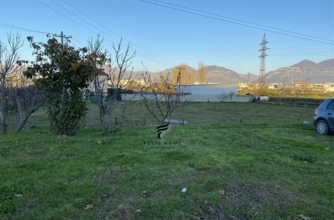 TOKE ME QERA,PRANE TOP CHANNEL,150.000 LEKE