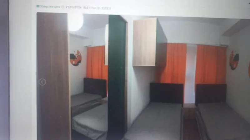 Apartament me qera 1+1 ne Ali Demi (320) euro