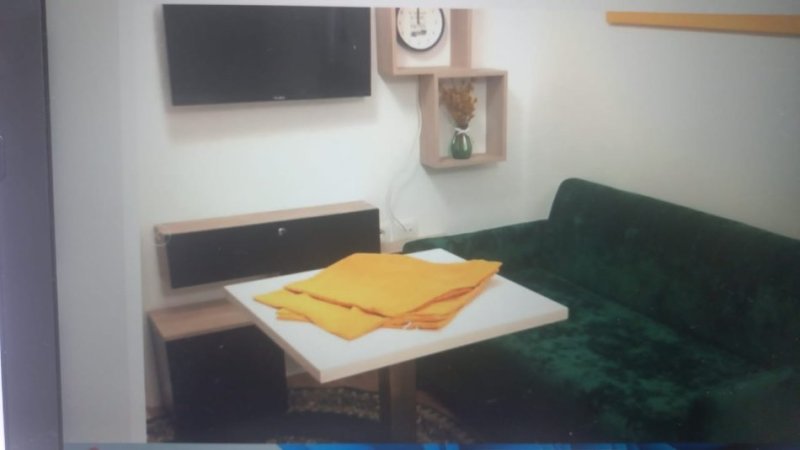 Apartament me qera 1+1 ne Ali Demi (320) euro