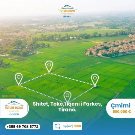 Shitet Toke Liqeni i Farkes, Tirane