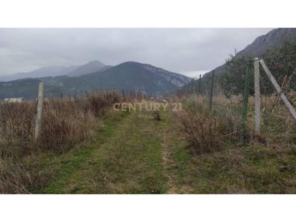 SHESIM TOKE, PRANE LIQENIT TE FARKES, 14.250 m² 1.710.000 Euro