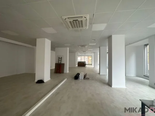 JEPET ME QIRA AMBIENT PER ZYRA PRANE SHESHIT WILLSON!