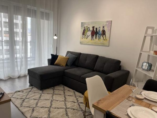 Tirane, jepet me qera apartament 1+1+BLK Kati 6, 60 m² 400 Euro (Rr. Frosina Plaku)
