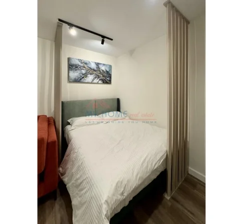 2 Apartamente ne shitje Garsoniere dhe 1+1 ne Rrugen Mine Peza ne Tirane