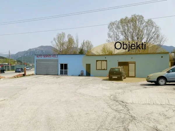 Magazine / Ambjent me qera