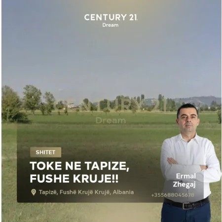 SHITET TOKE NE TAPIZE, FUSHE KRUJE!!