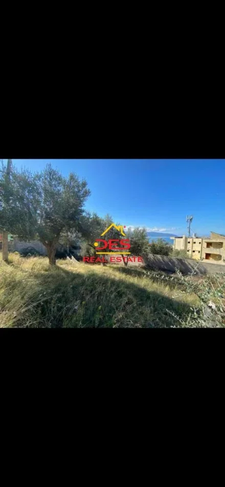 SHITET TOKË – ULLISHTE NË UJË TË FTOHTË ,VLORË. ( Prane Shkolles Tregetare)