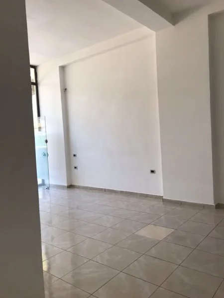 Ambient komercial me qira prane Selvise