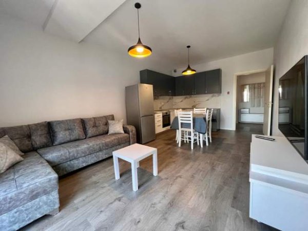 Tirane, jepet me qera apartament 1+1+BLK Kati 4, 450  (Fusha Ali Demi)