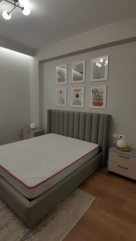 Tirane, Apartament luksoz me qira 2+1 (Kopshti Botanik)