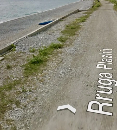 Borsh, Shitet Tok Buz Deti