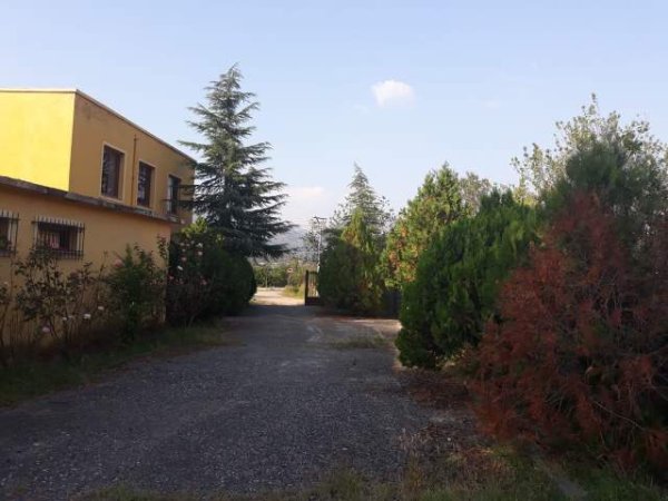 Elbasan, shes truall 50.000 m² 40 Euro/m2