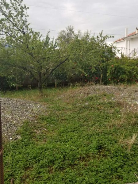 Elbasan, shes toke 800 m² 110.000 Euro