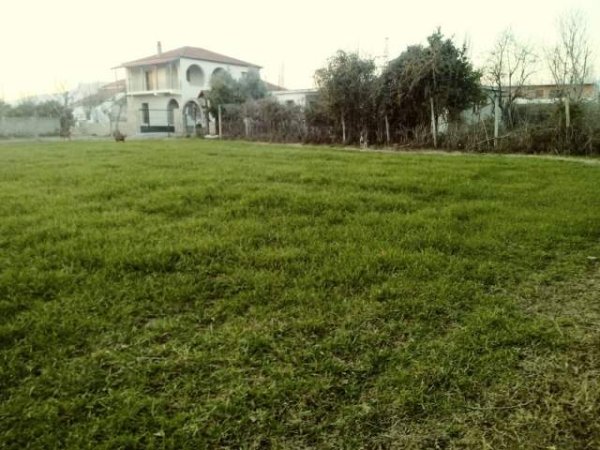 Elbasan, shes toke 810 m² 4.500.000 Leke