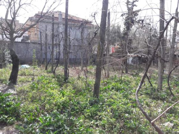 Elbasan, shes truall 351 m² 500 Euro/m2