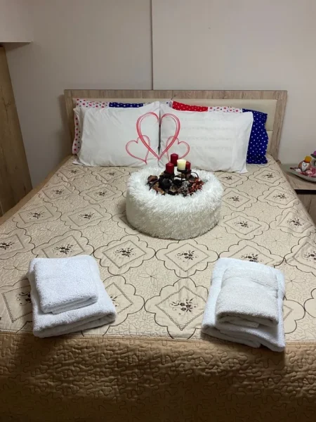 Apartament me Qira 2+1 , Kopshti Zologjik