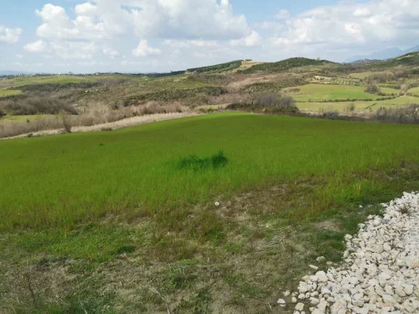 Shitet Toke prane Nano Resort ne Fshatin Daijas, Tirane!