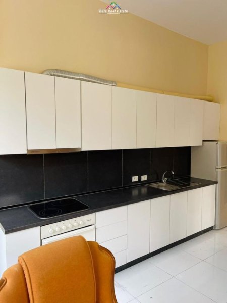 Apartament 1+1 Me Qera Tek Kopshti Zooligjik (ID B210557) Tirane