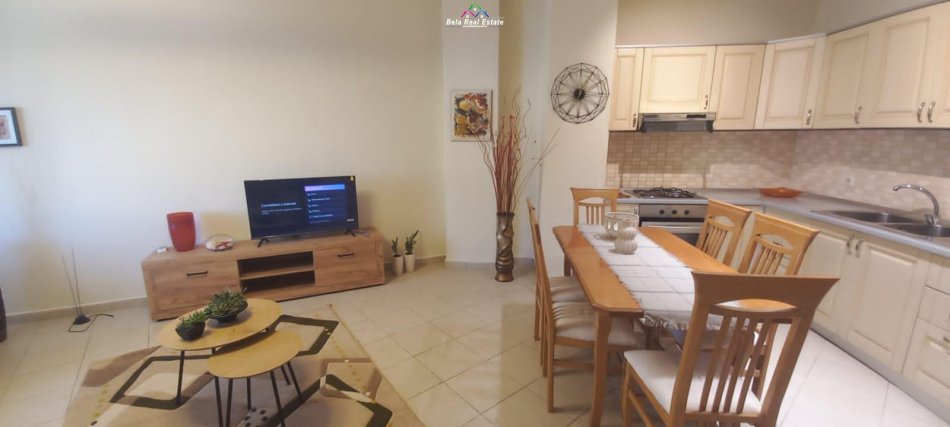 Apartament Me Qera 1+1 Perballe Martenitetit Te Ri (ID B210569) Tirane