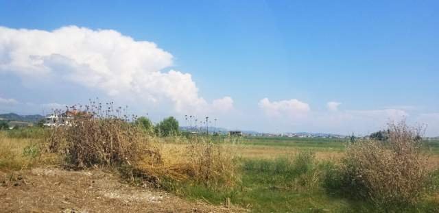 Kavaje, shes toke 4.200 m² 336.000 Euro