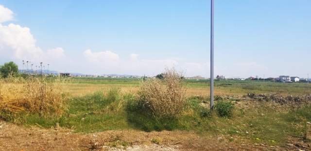 Kavaje, shes toke 4.200 m² 336.000 Euro