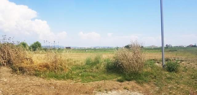 Kavaje, shes toke 4.200 m² 336.000 Euro