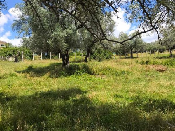 Tirane, shes toke 2.200 m² 9.000 Leke/m2