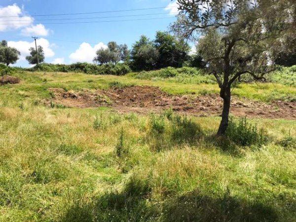 Tirane, shes toke 2.200 m² 9.000 Leke/m2