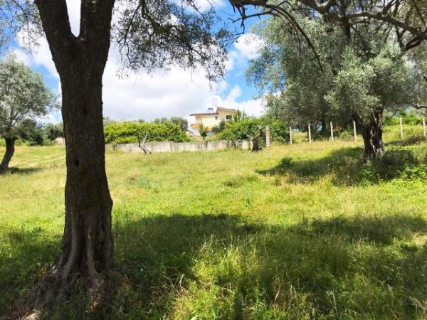 Tirane, shes toke 2.200 m² 9.000 Leke/m2