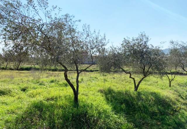 Tirane, shes toke 4.080 m² 408.000 Euro