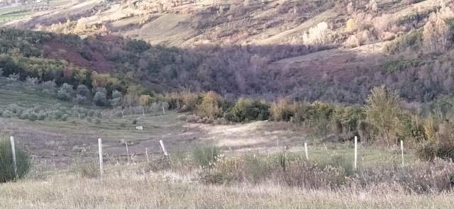 Tirane, shes truall 18.000 m² 2.000 Leke/m2