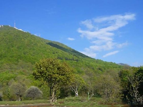 Tirane, shes toke 200.000 m² 4.000 Leke/m2