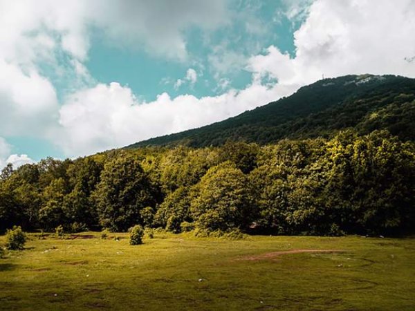 Tirane, shes toke 200.000 m² 4.000 Leke/m2