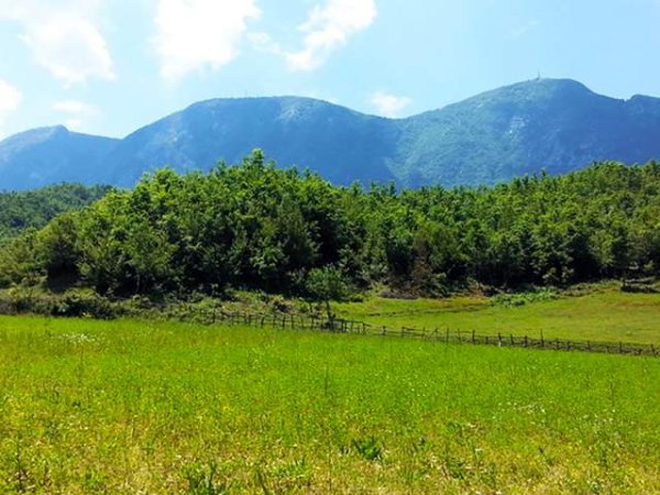 Tirane, shes toke 200.000 m² 4.000 Leke/m2
