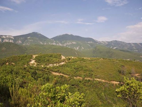 Tirane, shes toke 200.000 m² 4.000 Leke/m2