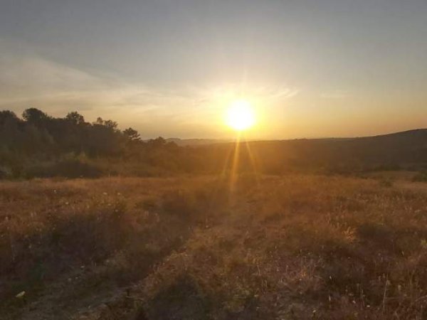 Tirane, shes toke 1.000 m² 45.000 Euro