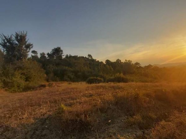 Tirane, shes toke 1.000 m² 45.000 Euro