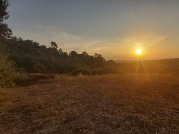Tirane, shes toke 1.000 m² 45.000 Euro