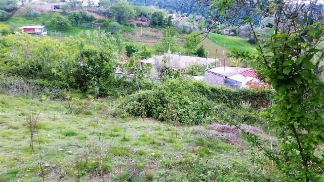 Tirane, shes toke 900 m² 7.000.000 Leke