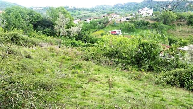 Tirane, shes toke 900 m² 7.000.000 Leke