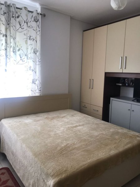 Apartament 1+1 Me Qera Tek Kopshti Zooligjik (ID B210645) Tirane