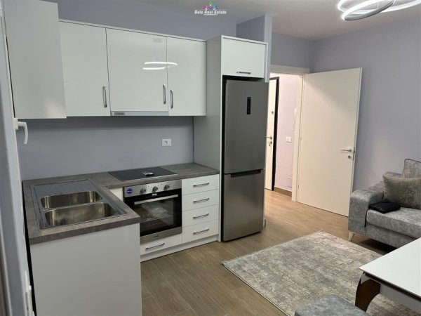 Apartament Me Qera 1+1 Ne Selite (ID B210647) Tirane